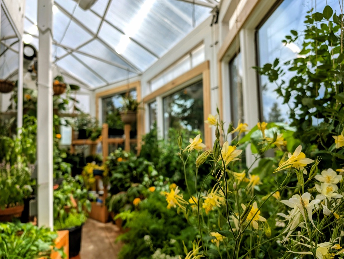 Peak Harvest Ranch Research Garden & Accelerator