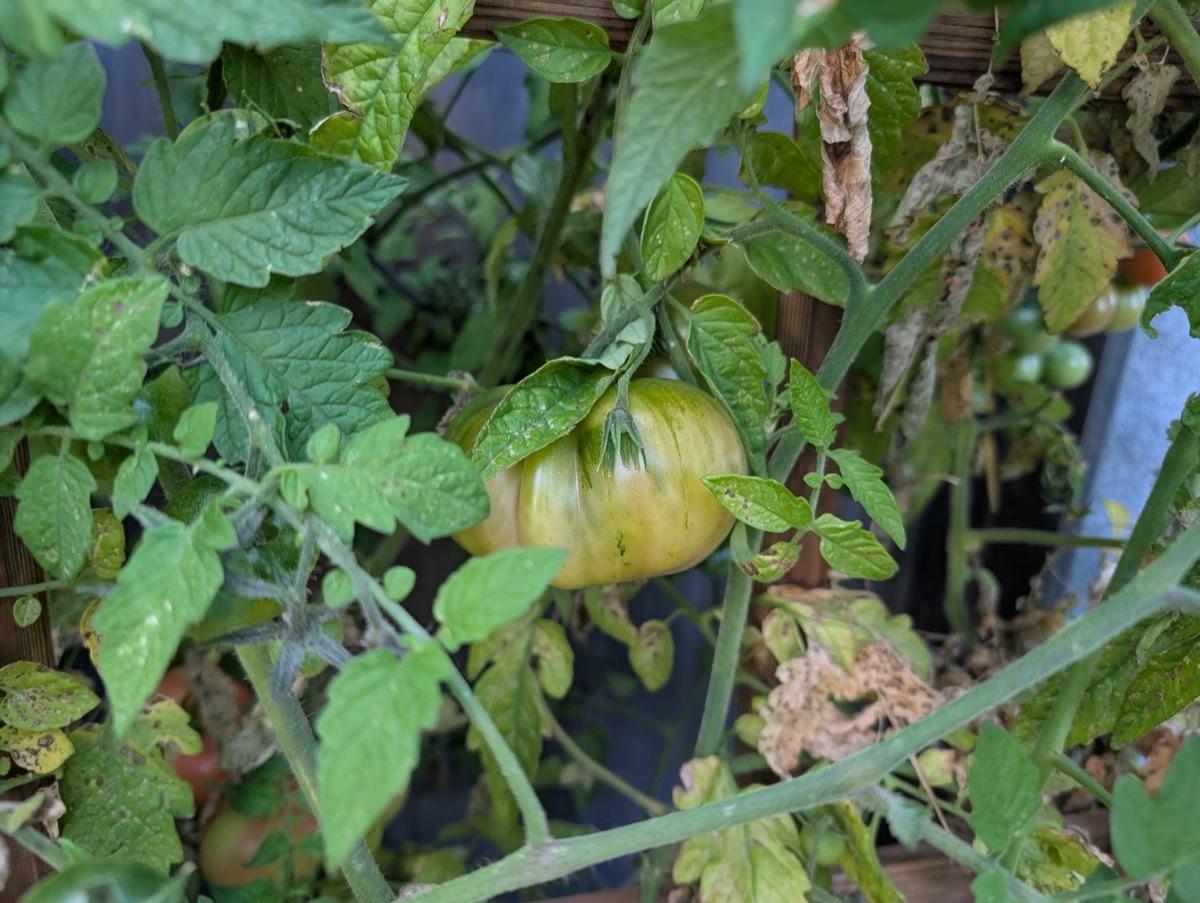 Practical Solutions for the Rocky Mountain West